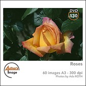 Author's Image - CD AI130 - Roses