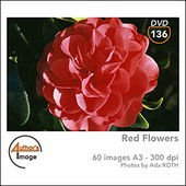 Author's Image - CD AI136 - Fleurs rouges