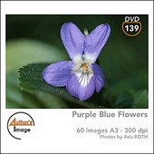 Author's Image - CD AI139 - Fleurs violettes et bleues 2 