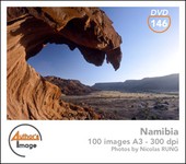 Namibia - Author's Image - Afrique Afrique Australe Couleur Ecotourisme Etosha National Park Extérieur Faune Géographie Namibie Noir Et Blanc Parc National Rayure Troupeau 