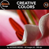 Author's Image - CD AI72 - Creatives Colors