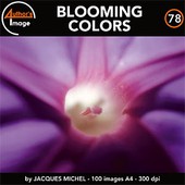 Author's Image - CD AI78 - Blooming Colors