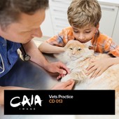 Caia Images - CD CA-CD013 - Vets Practice