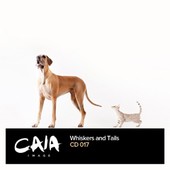 Caia Images - CD CA-CD017 - Whiskers and Tails