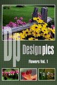 Design Pics RF - CD DP-FLWR1-6 - Flowers Vol. 1