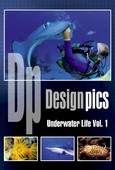 Design Pics RF - CD DP-UL1-04 - Underwater Life Vol. 1