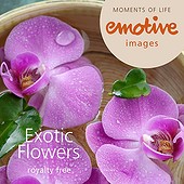 Emotive Images - CD EM-EI29 - Exotic Flowers