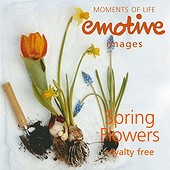 Emotive Images - CD EM-EI58 - Spring Flowers
