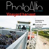 PhotoAlto - CD PA537 - Vineyard harvest