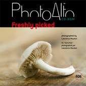 PhotoAlto - CD PA606 - Freshly picked