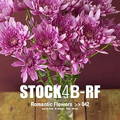 Stock4B - CD ST-RF-042 - Romantic Flowers