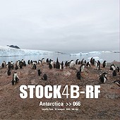Stock4B - CD ST-RF-066 - Antarctica