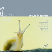 ZenShui - CD ZS075 - Insects in nature